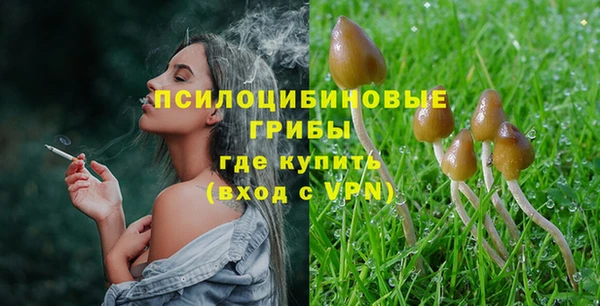 тгк Балахна