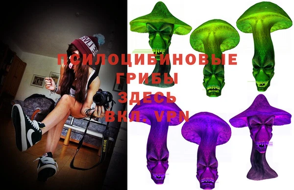 тгк Балахна